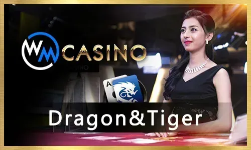 Immersive Live Casino Experience at 588jl